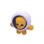 Ooli